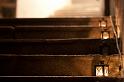 _MG_0590