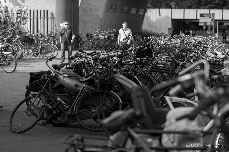 _MG_0220.jpg - bicycles, bicycles, bicycles