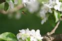 IMG_5196